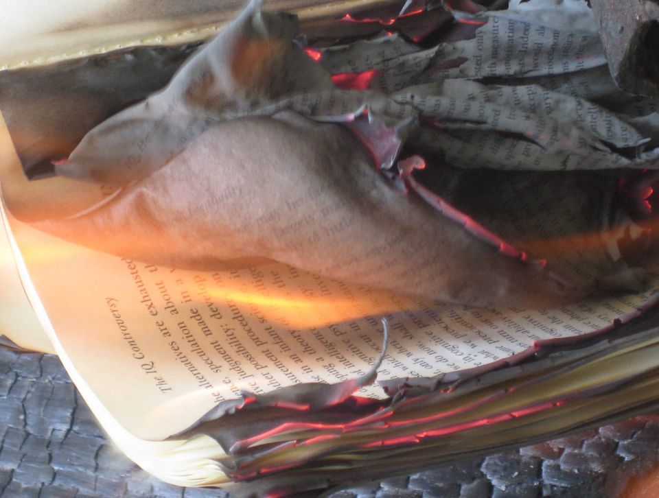 The New York Times Books section has some work to do.