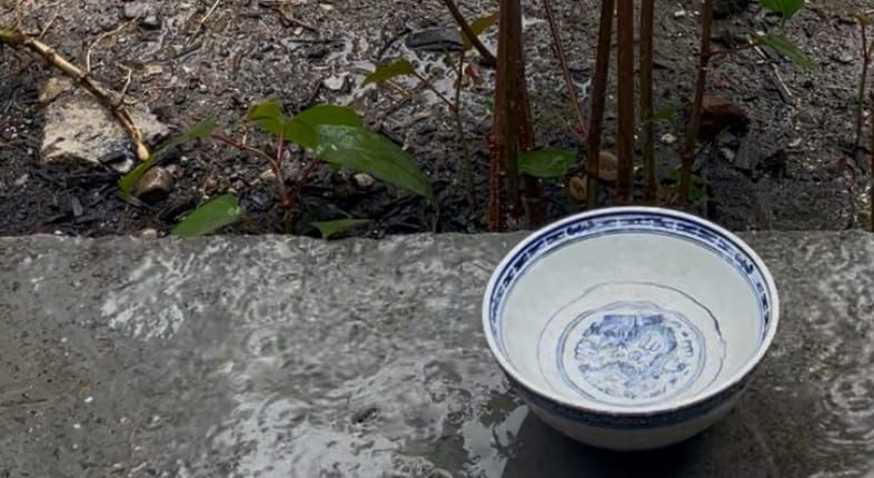 I left this bowl outside overnight in the rain but it never seems quite to fill up