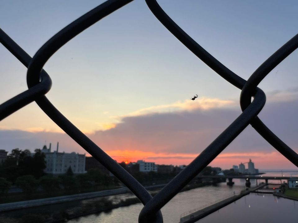 Dear Businesslady: Grieving at Work