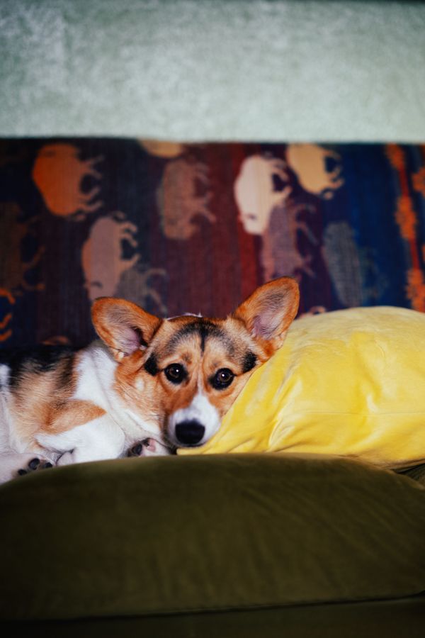 Grief & Sleepless in Seattle (an episode for patreon & substack paid subscribers)