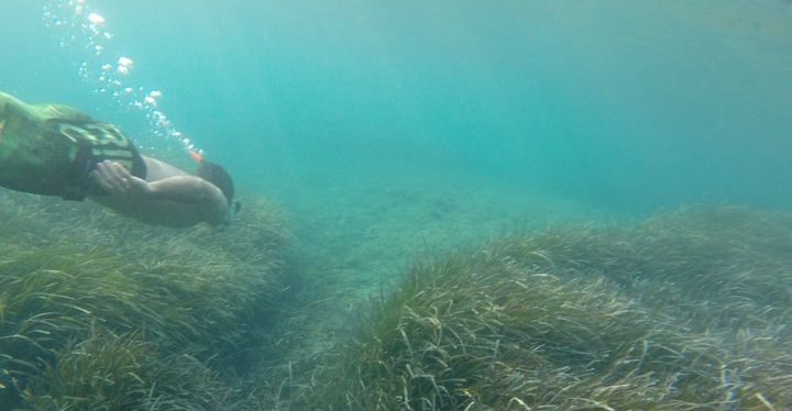 Diving
