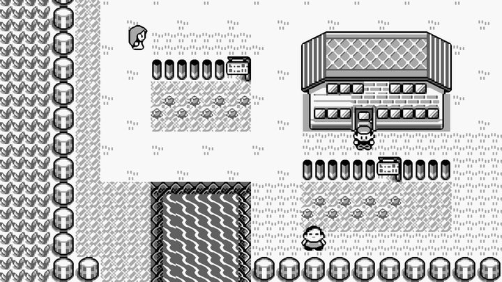 Pokémon Red