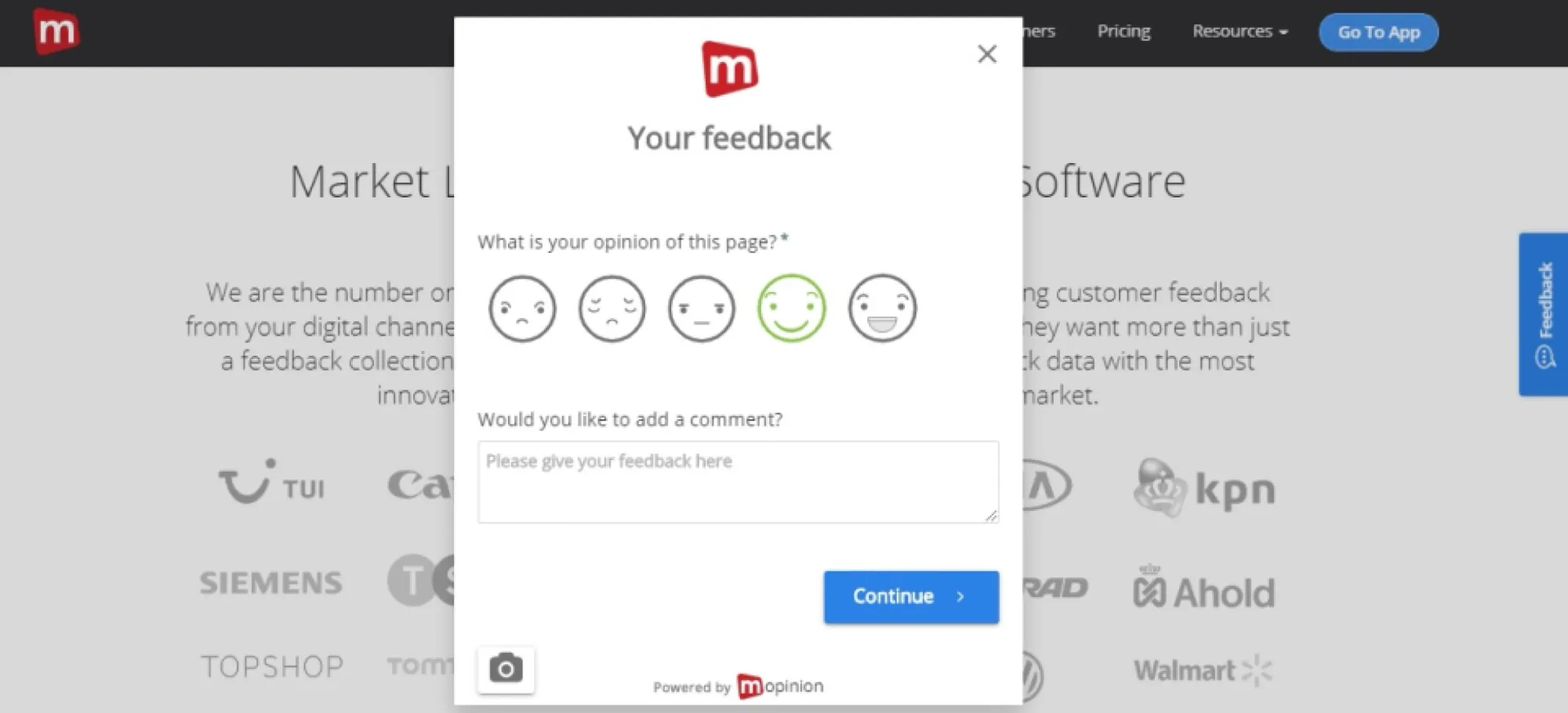 Screenshot of mopinion's website widget.