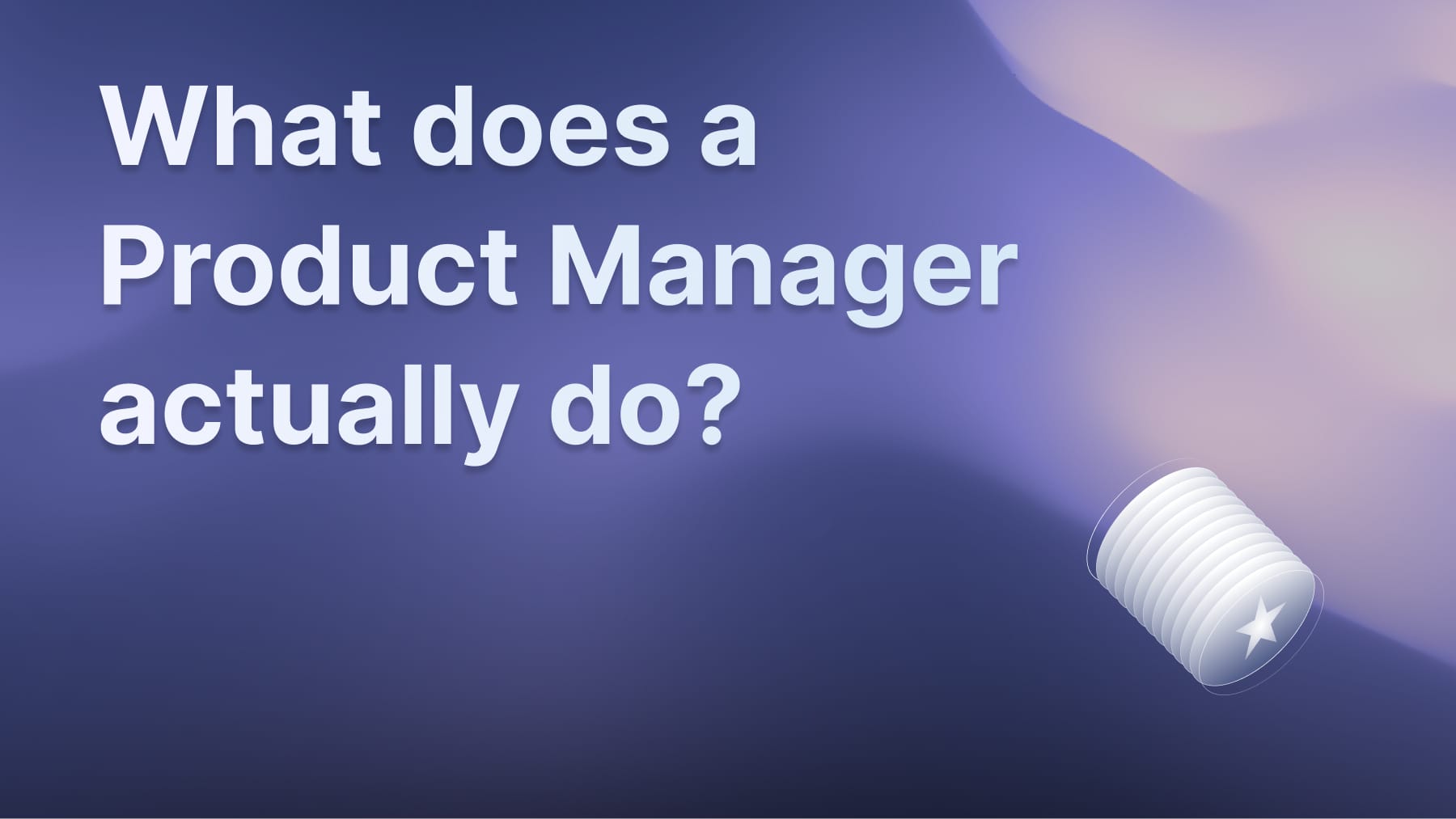 What does a product manager do? Role of a product manager.