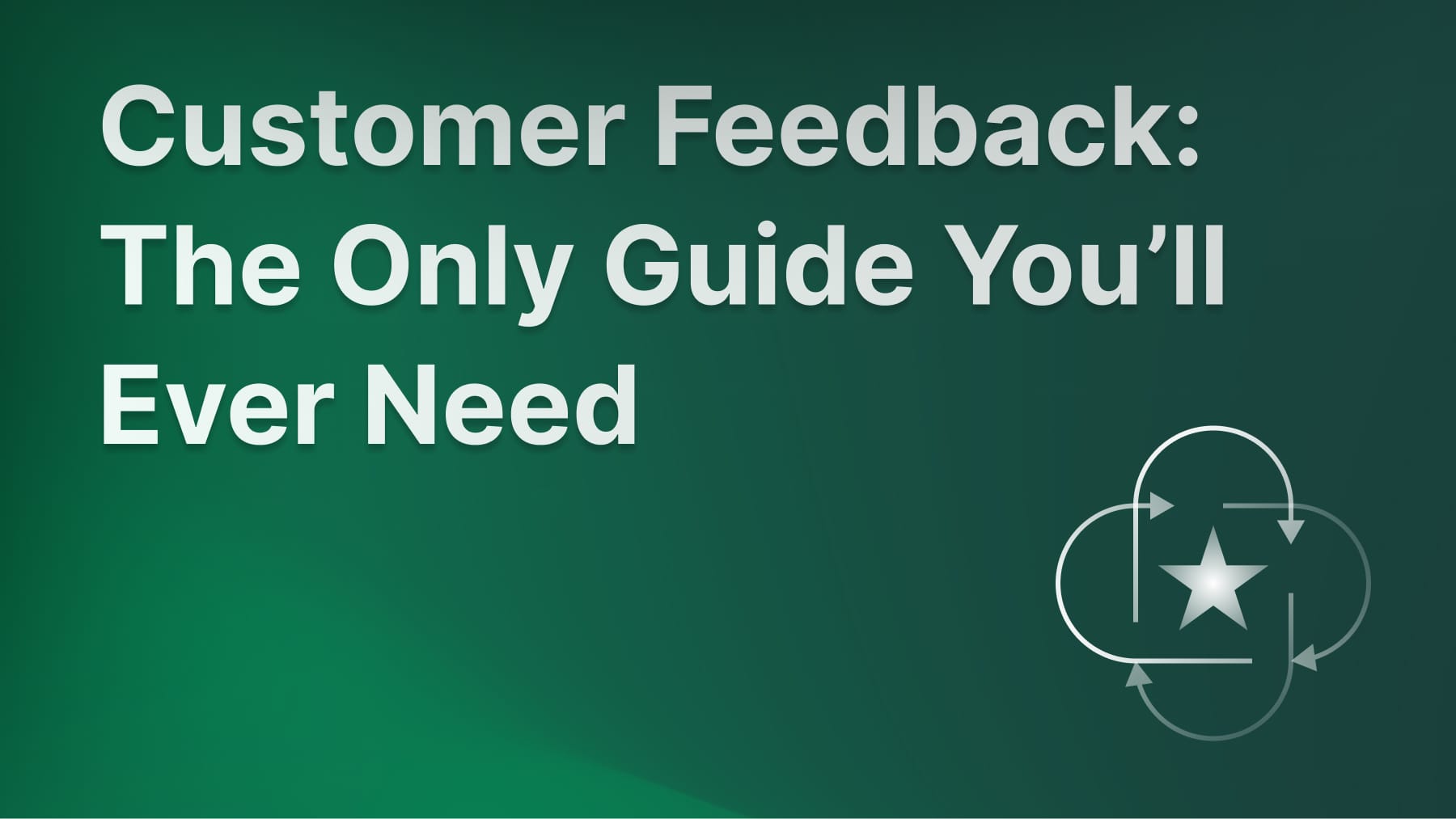 Complete guide to customer feedback collection and management.