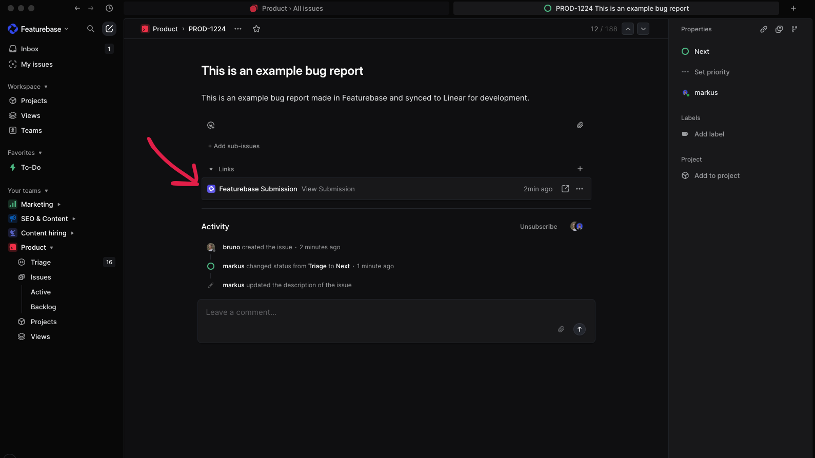 Example Linear bug report.