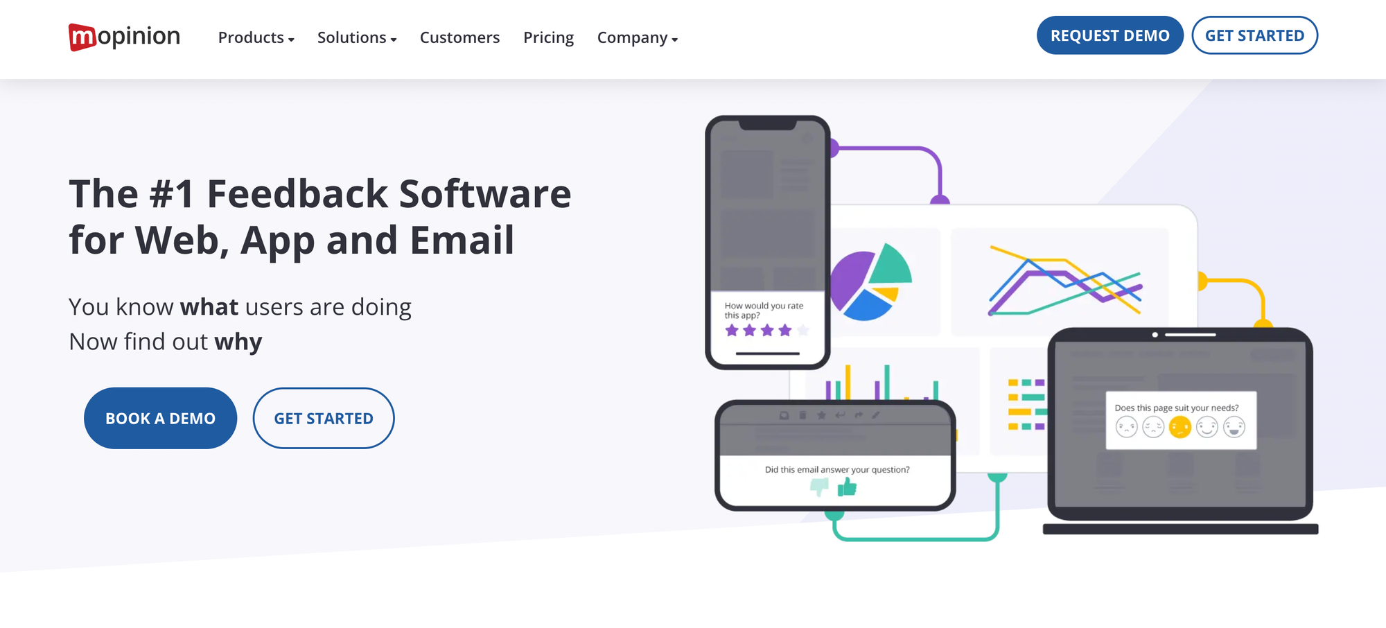 Website feedback tool: Mopinion