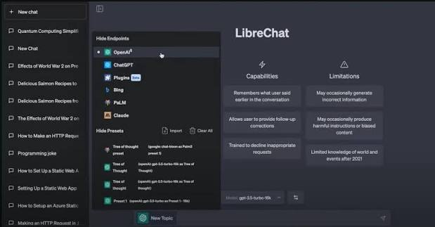 LibreChat interface showing available AI models, capabilities, limitations, and chat presets.