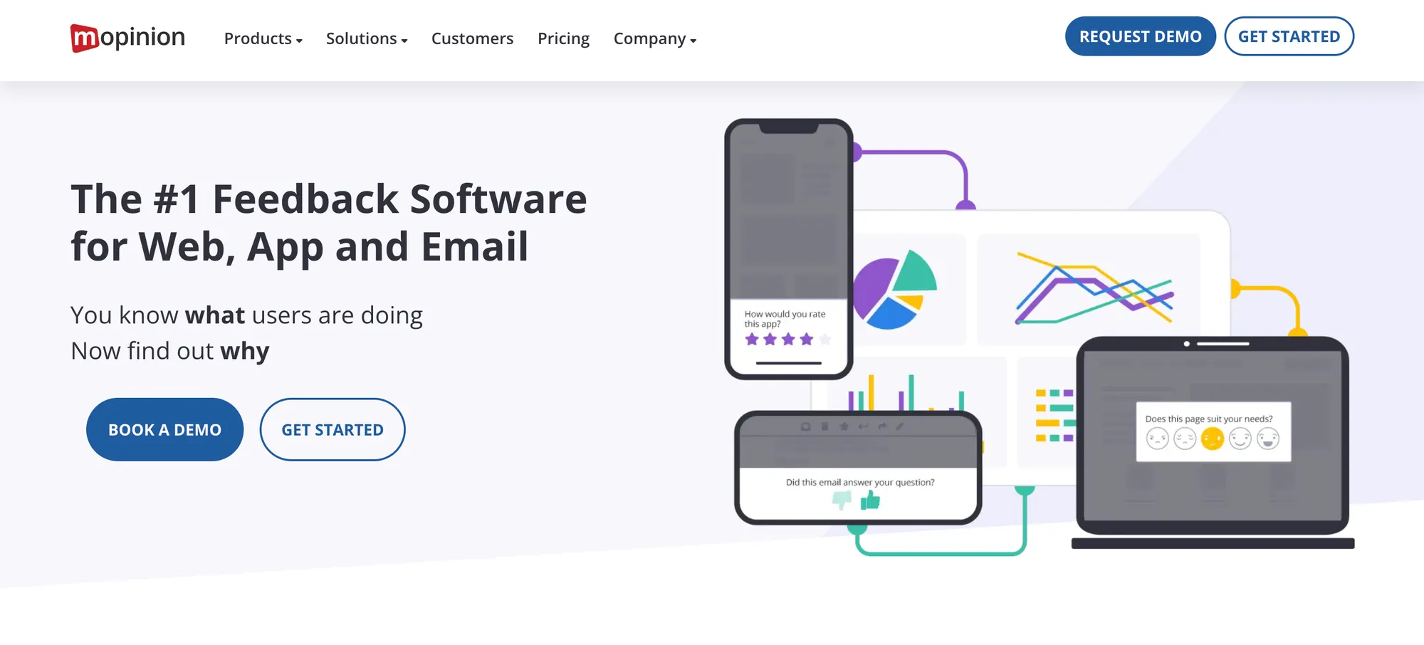 Website feedback tool: Mopinion