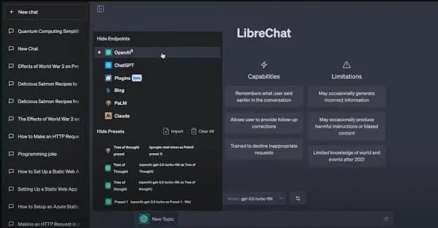 LibreChat interface showing available AI models, capabilities, limitations, and chat presets.