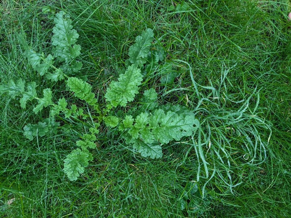 The tangled paths of uncertainty