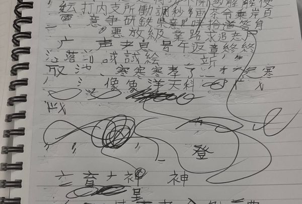 The Sounds of Japanese