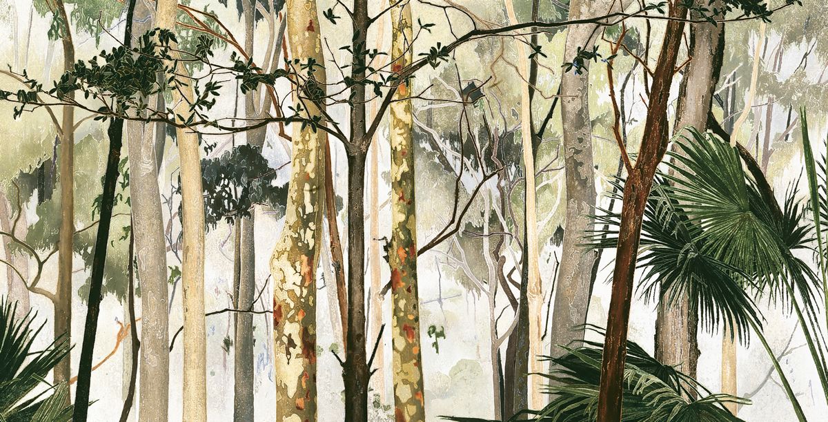 Cressida Campbell's work titled Eucalypt Forest, 2000