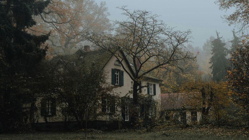 The Season of the Witch: Why September, October & November Carry the Magic of the Year