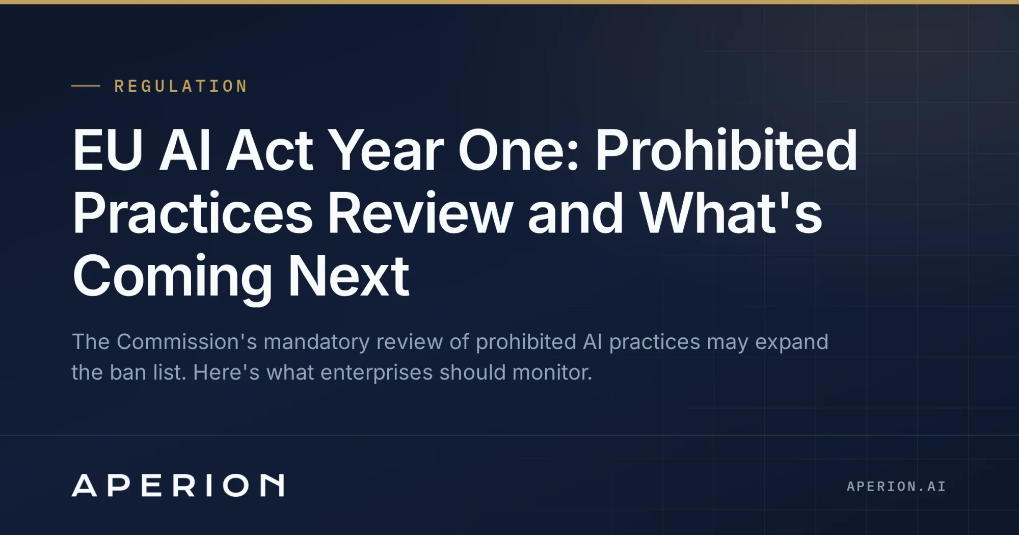 EU AI Act Year One: Prohibited Practices Review and What's Coming Next