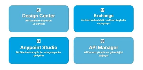 Anypoint Platform Bileşenlerini Keşfedin