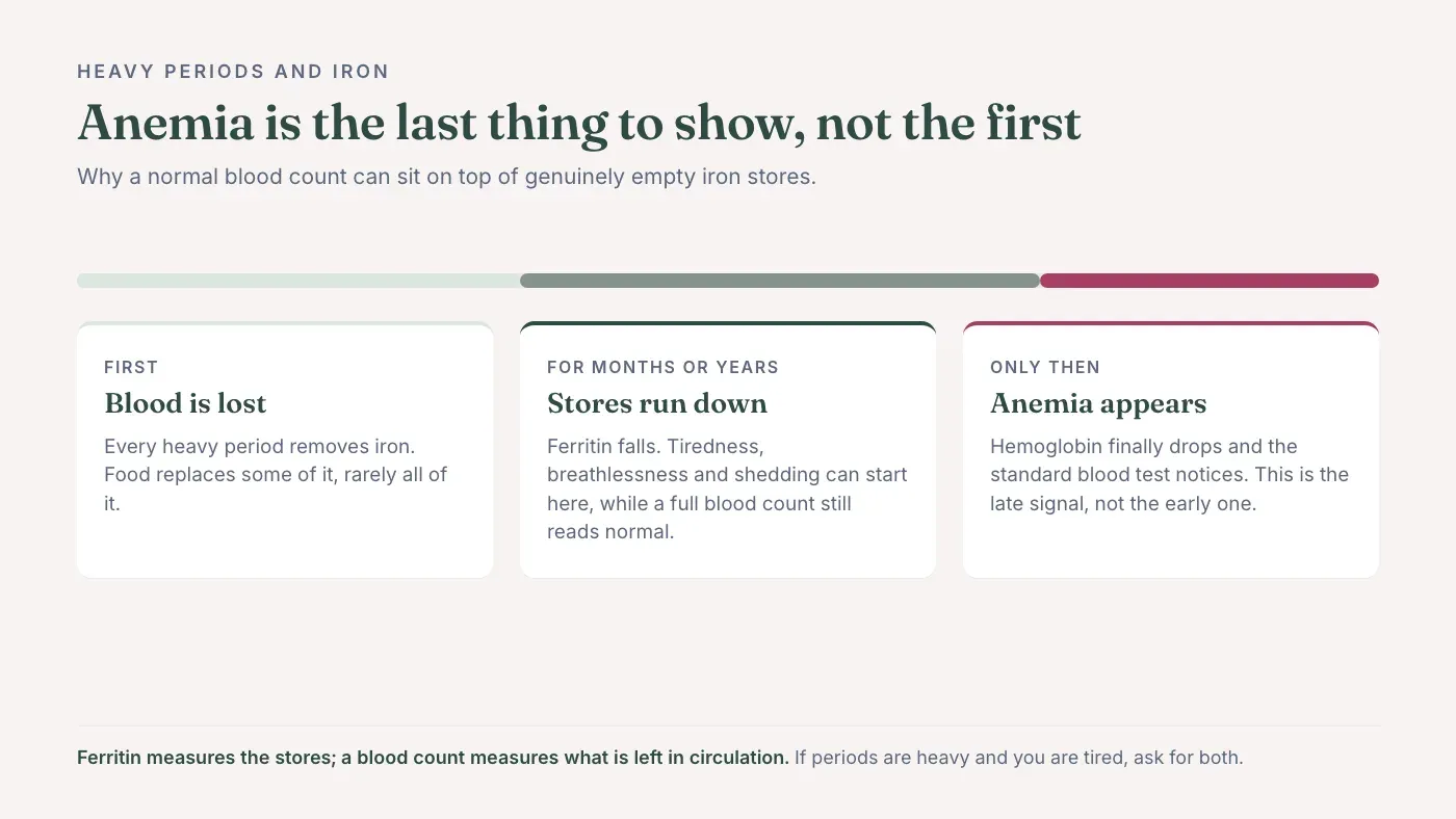 Three stages: blood is lost each period, iron stores run down over months or years while a full blood count still reads normal, and only then does anemia appear as hemoglobin drops.