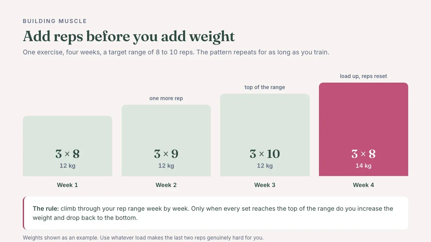 Four-week progression example for one exercise: three sets of eight at 12 kg, then nine reps, then ten reps, then a jump to 14 kg back at eight reps.