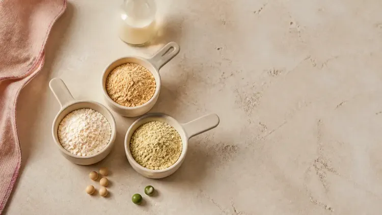 Protein sources compared: whey, plant protein and collagen