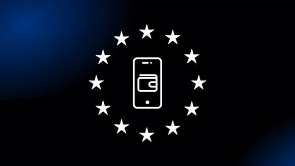 The EU Digital Identity Wallet: A Beginner's Guide