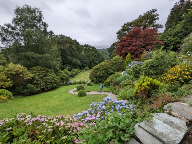 Flower Power: Why Gardening is Good for Your Soul