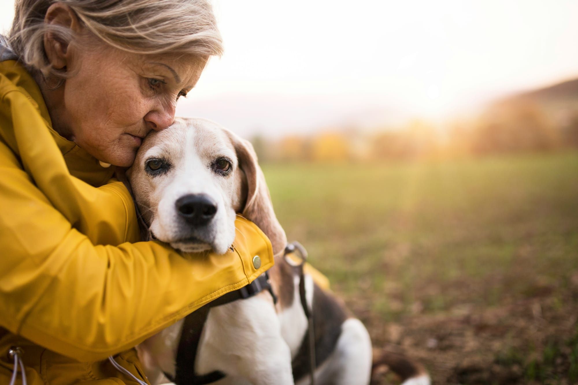 Pets and live-in care: keeping the whole household comfortable