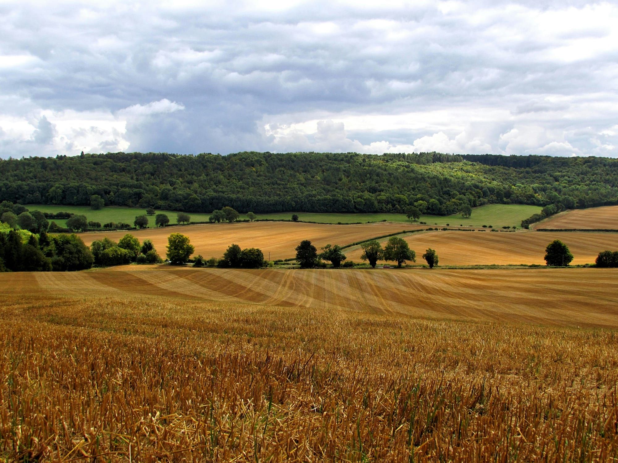 Live-in care in rural areas vs cities: what's different?