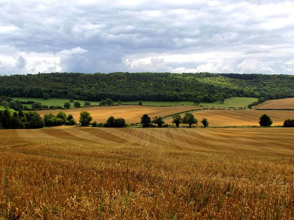 Live-in care in rural areas vs cities: what's different?