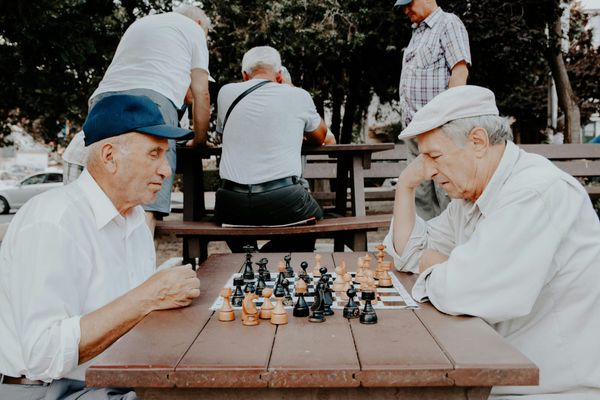 Staying Mentally Active: Hobbies, Puzzles and Lifelong Learning at Home