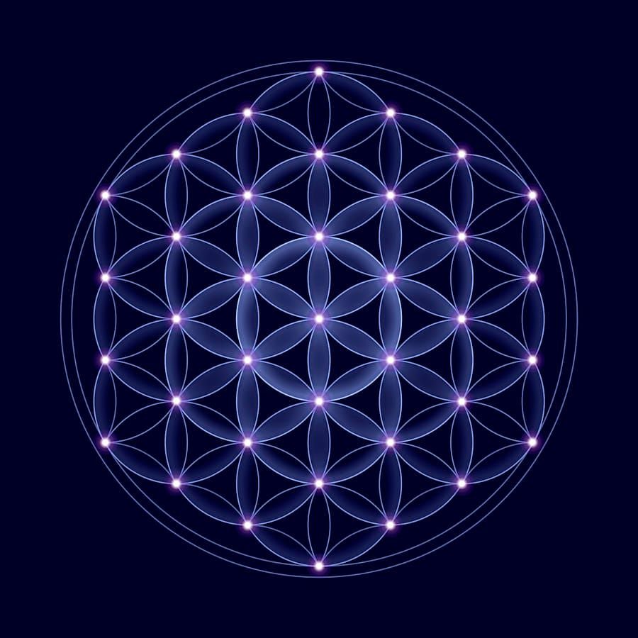 Getting Here, Minds Clear