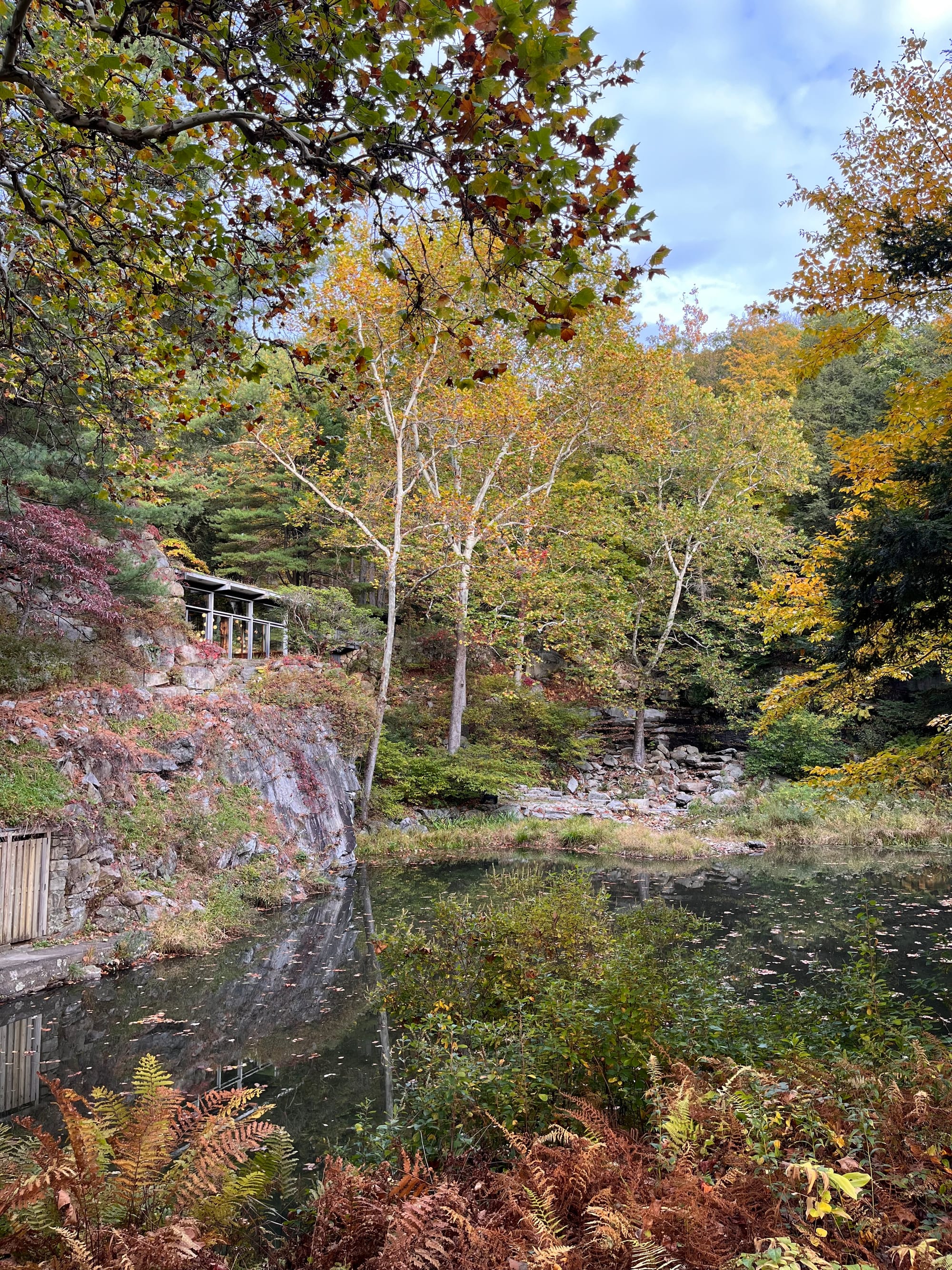 Dragon Rock on quarry cliff overlooking pond