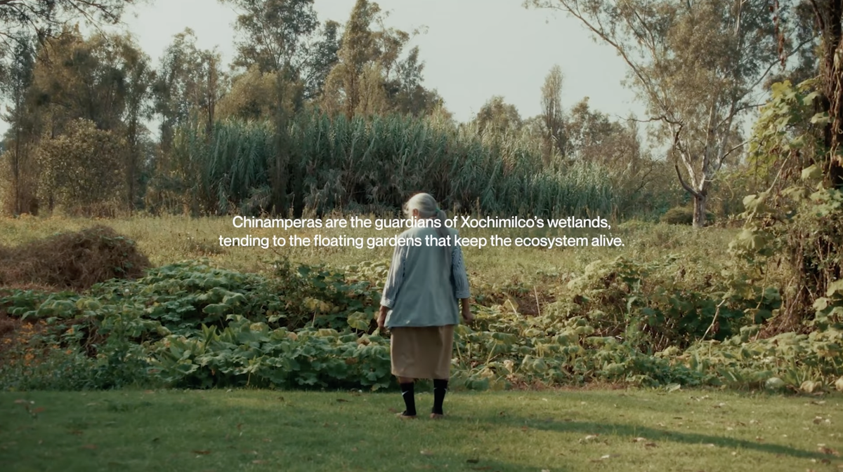 Linking About: Farmers’ Almanacs (x 3), ancient wisdom relearned, Paris replanted ...