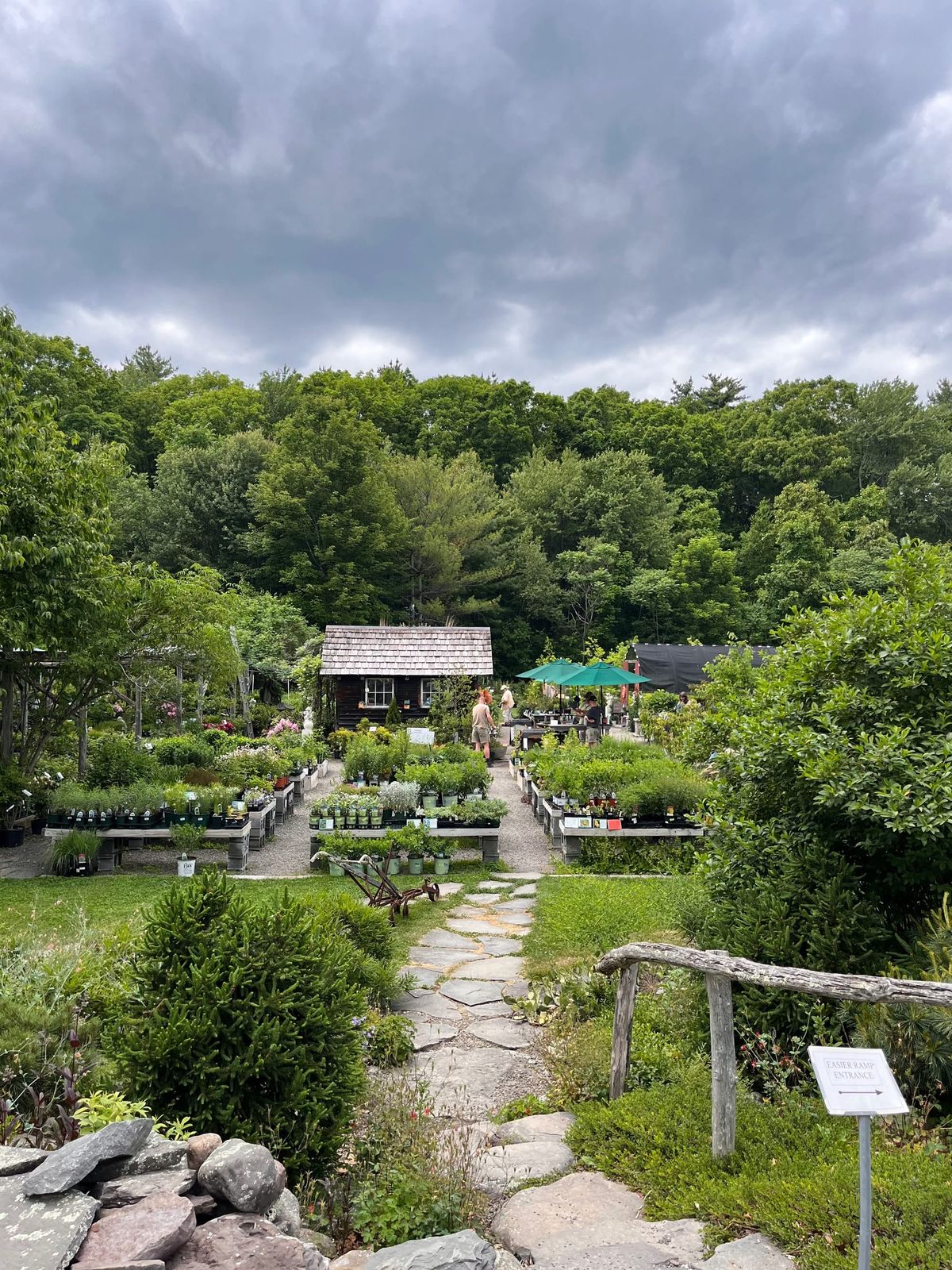 My unscheduled garden staycation
