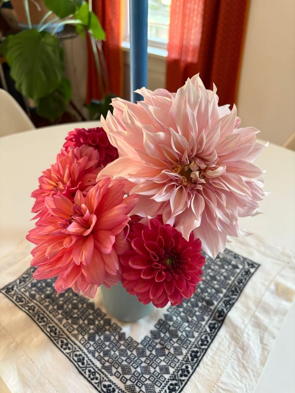 Linking About: Other people’s dahlias