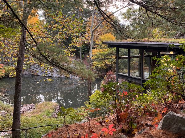 View of Dragon Rock looking out toward quarry pool