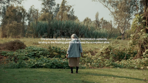 Linking About: Farmers’ Almanacs (x 3), ancient wisdom relearned, Paris replanted ...