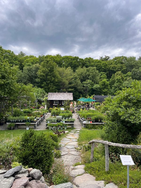 My unscheduled garden staycation