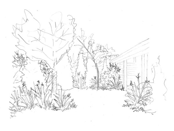 Forest evolution: The mown meadow