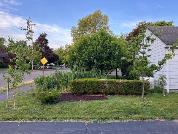 Hot Tip: Sheet mulching
