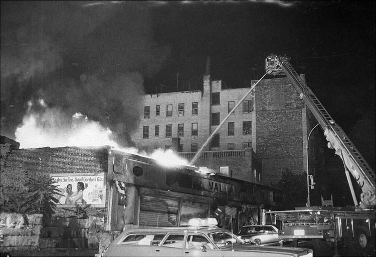 🚫 The Young Lords Party: A Revolution That Went Silent