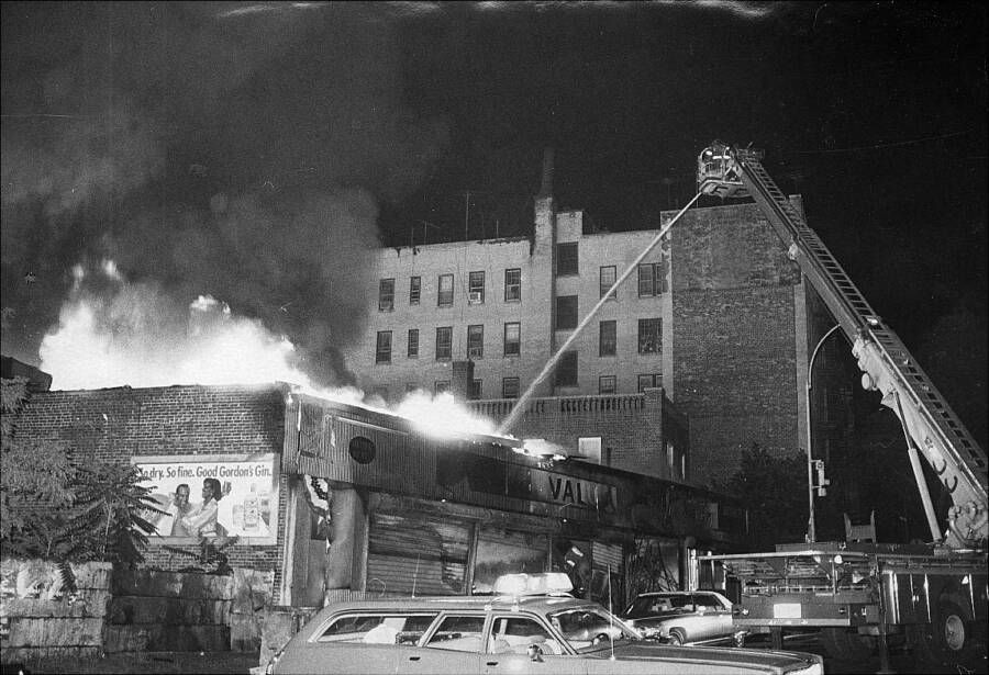 🚫 The Young Lords Party: A Revolution That Went Silent