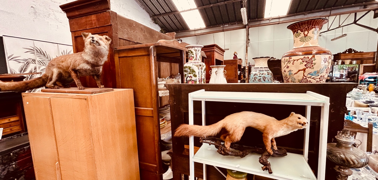 A fox on a shelf in a room with other objects

AI-generated content may be incorrect.