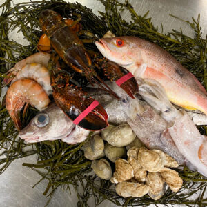 A pile of seafood on a metal surface

Description automatically generated