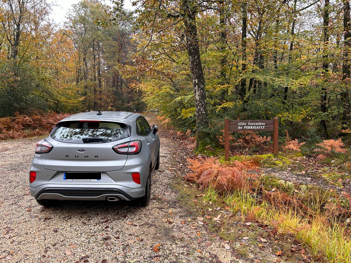 The best way to rent cars in France: the supermarket
