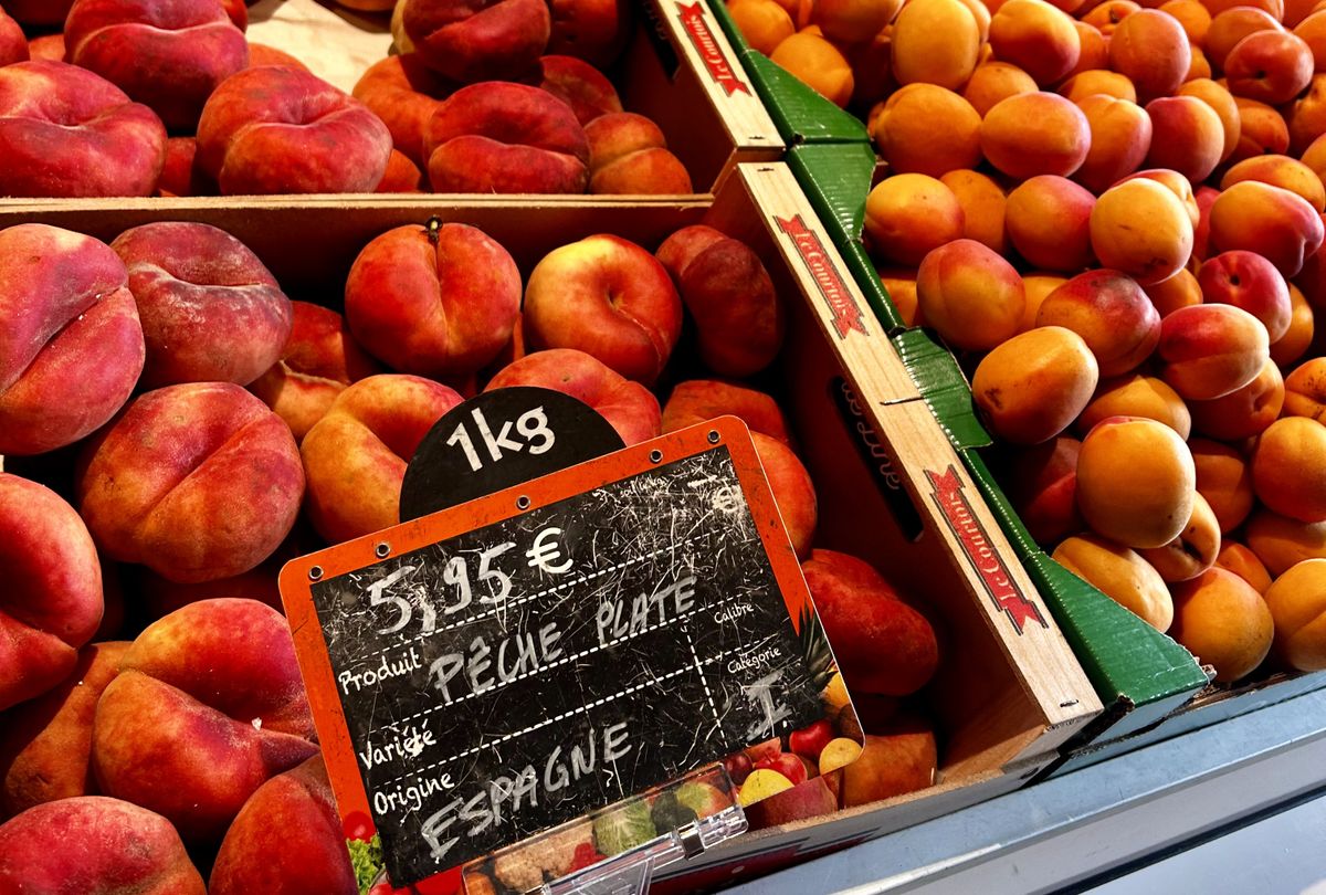 Peaches on the Pavement, Apples in the Grass