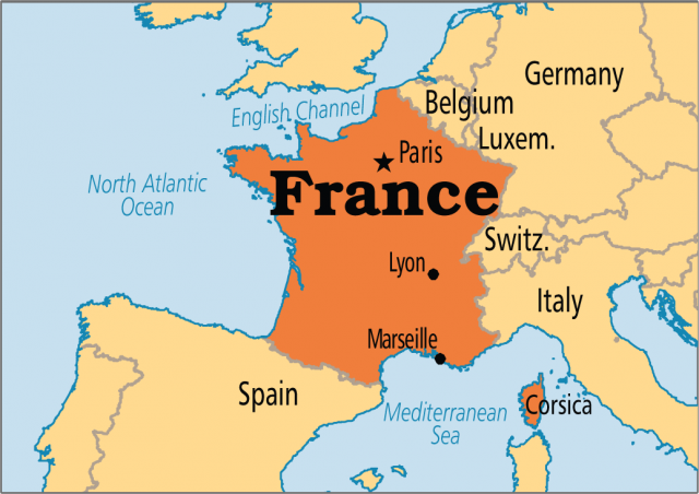 WTF is going on with snap Elections in France?