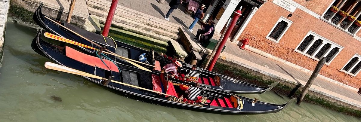 Venice, Above the Waterline