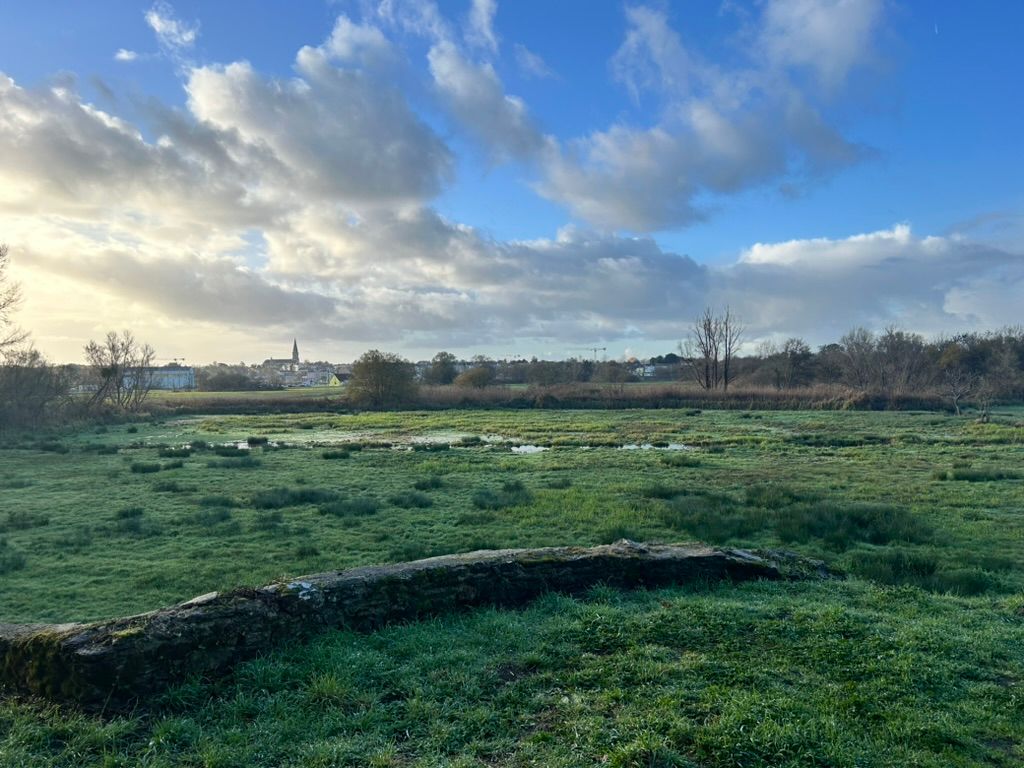 When the Countryside Goes Quiet in France