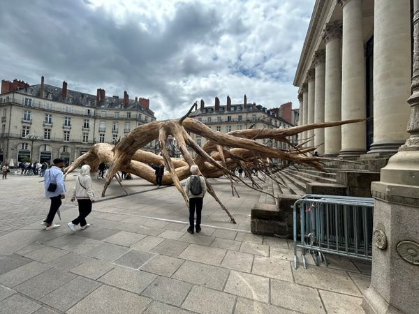 Trump’s Felony-Laden Comeback: 10 Impacts for Americans Abroad