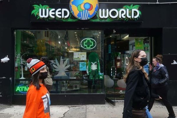 Marijuana Legalization: A Tale of Two Cities – New York vs. France